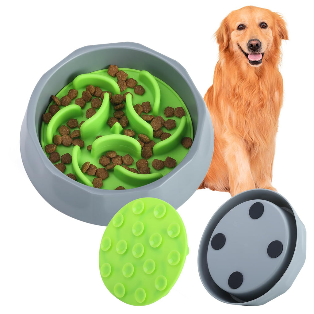 2-in-1 Slow Feeder Dog Bowl with Silicone Insert