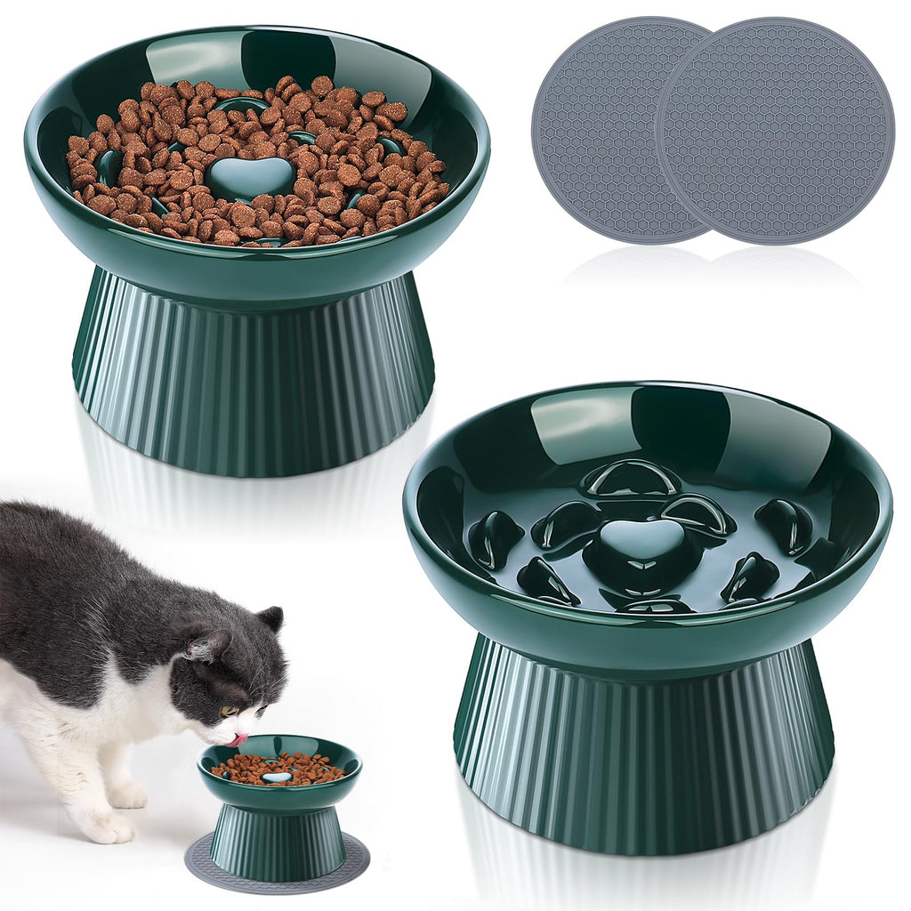 Ceramic Raised Slow Feeder Bowls (2-Pack)