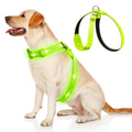 KOSKILL Light Up Dog Harness Led Dog Harness Rechargeable Lighted Dog Harness Glow in The Dark LED Dog Vest Reflective Light Up Harness for Dogs Dog Lights for Night Walking… XL