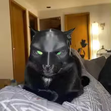 Batman Mask for Cats