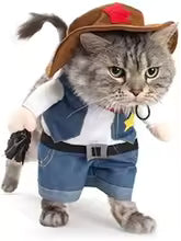 Cowboy Costume for Dogs & Cats