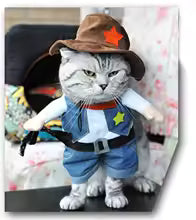 Cowboy Costume for Dogs & Cats