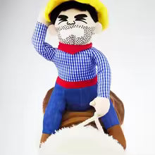 Cowboy Rider Dog Costume