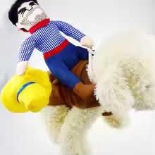 Cowboy Rider Dog Costume