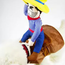 Cowboy Rider Dog Costume