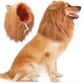 Halloween Lion Mane Hood for Dogs
