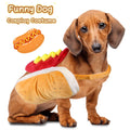 Halloween Hot Dog Costume for Dogs